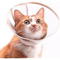 Amazon | ぽぽねこ 軽くて柔らかい猫用エリザベスカラー 視界良好